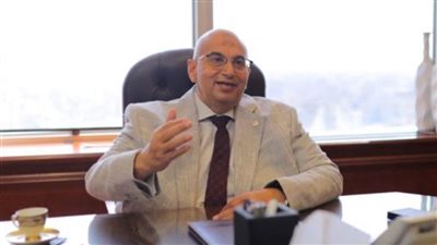 جمعية خبراء الضرائب: المناطق الحرة أحد أهم أدوات تحقيق رؤية مصر 2030