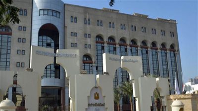 هيئة الاستعلامات: مئات الملايين تابعوا افتتاح المتحف المصري الكبير