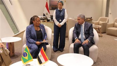 وزير السياحة يبحث مع رئيس المجلس العالمي للسفر والسياحة دعم الاستثمارات السياحية في مصر