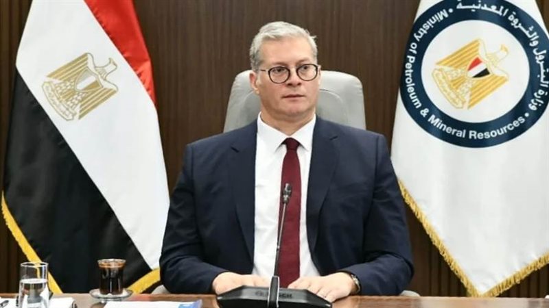 المهندس كريم بدوي