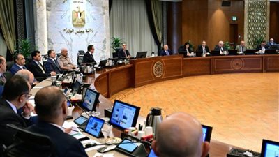 وزير التعليم العالي: حصلنا على اعتماد 