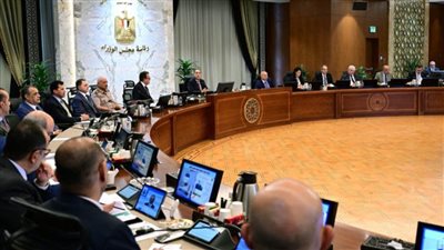 تعرف على 9 قرارات لمجلس الوزراء اليوم 