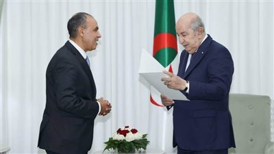 وزير الخارجية يؤكد أهمية استمرار التنسيق بين مصر والجزائر فيما يخص الأوضاع في ليبيا