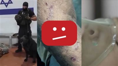 غضب عالمي من حذف يوتيوب مئات المقاطع التي توثق جرائم الاحتلال في غزة والضفة.. والمنصة ترد