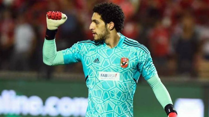 مصطفى شوبير