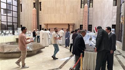 تنسيقية الشباب: المصريون يقيمون 