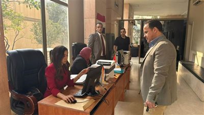 المصريون في لبنان يواصلون المشاركة في انتخابات مجلس النواب 2025