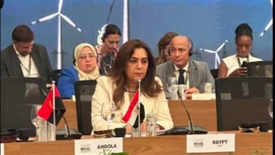 البيئة: مصر تستهدف توفير 42% من الكهرباء النظيفة بحلول 2030