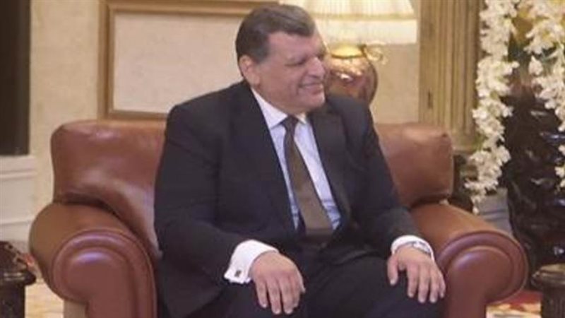 سفير مصر في غينيا