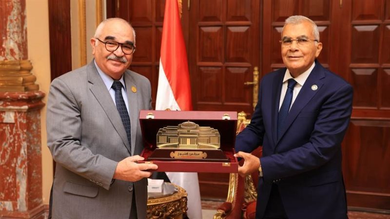 قضايا الدولة