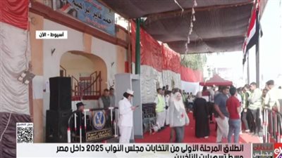 انتخابات النواب 2025| ما هي الإجراءات التي تضمن نزاهة الانتخابات في مصر؟