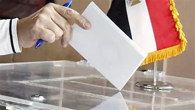 نواب التنسيقية يدلون بأصواتهم في اليوم الثاني والأخير للمرحلة الأولى من انتخابات مجلس النواب