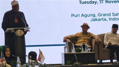 أمين عام كبار العلماء بالأزهر: السلام لا بد له من قوة تحميه