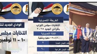 إقبال على التصويت في انتخابات النواب بالوادي الجديد.. ومتطوعو 