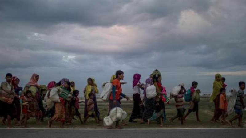 بوابة روز اليوسف