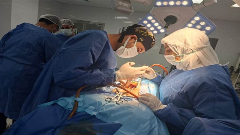 بوابة روز اليوسف