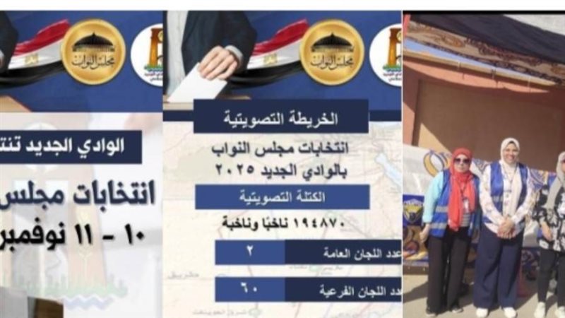 انتظام فتح لجان انتخابات