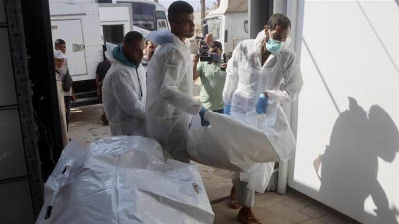 أطباء بلا حدود