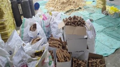 تحرير 176 محضرًا متنوعًا والتحفظ على سلع منتهية الصلاحية ببني سويف