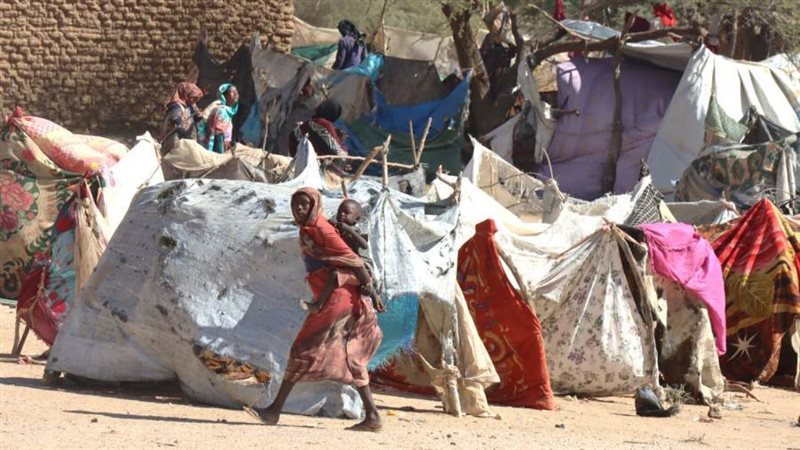 نازحو الفاشر