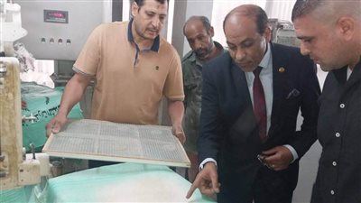 تحرير 100 مخالفة تموينية بحملة مكبرة في القليوبية 