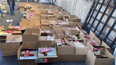 جمارك صادرات الإسكندرية تضبط محاولة تهريب كمية من السجائر الأجنبية الصنع