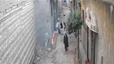 القبض على شقيقين بعد اعتدائهما على شاب بالشوم بإحدى قرى سمالوط بالمنيا