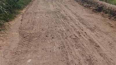 محافظ المنيا يعيد الحياة لطريق صفانية إعادة تمهيدة وتوسعته وإنارته