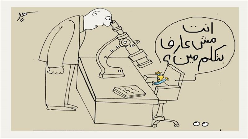 بوابة روز اليوسف