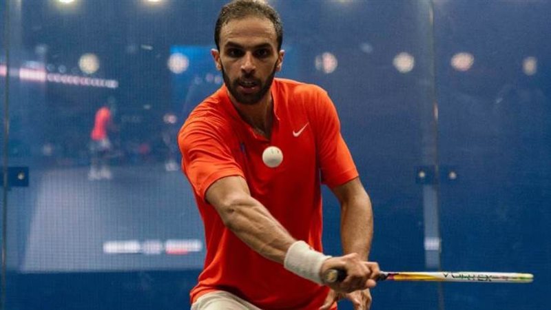 محمد أبو الغار