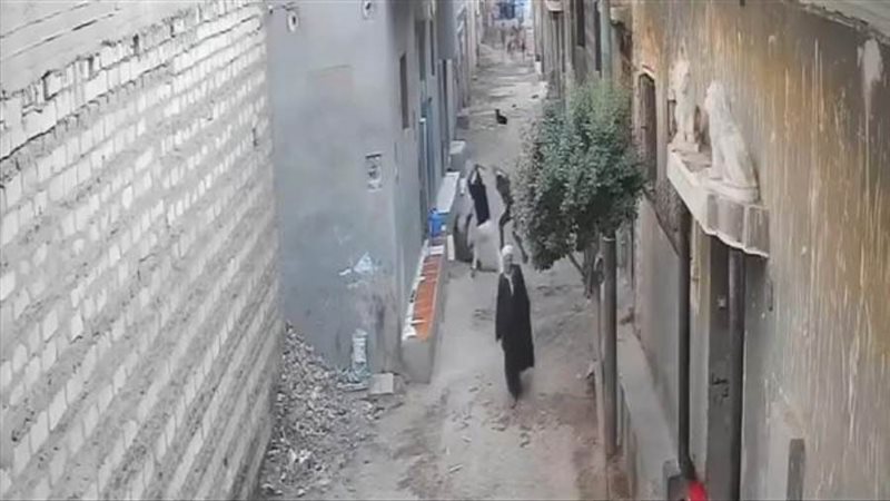 القبض على شقيقين