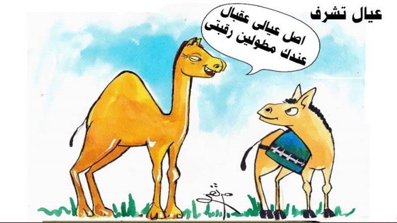 بوابة روز اليوسف