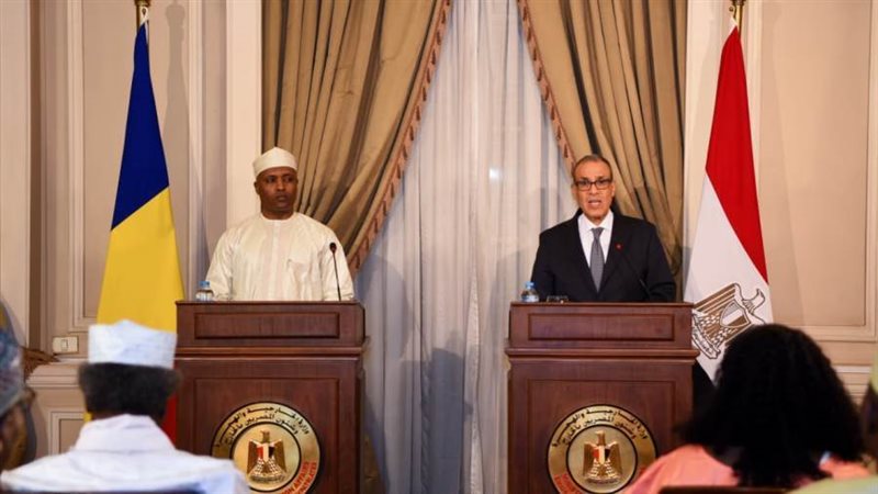 وزيرا الخارجية المصرى