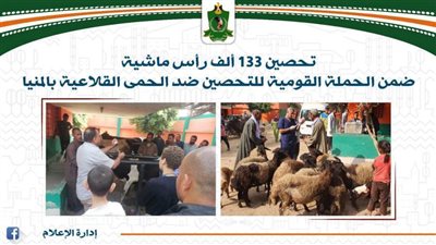 تحصين 133 ألف رأس ماشية ضد حمى الوادي المتصدع والحمى القلاعية بالمنيا