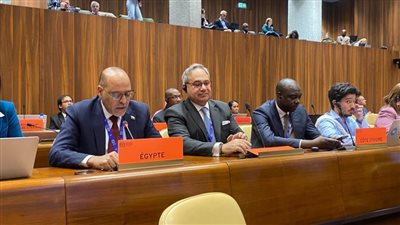  تفاصيل كلمة وزير العمل أمام مجلس إدارة منظمة العمل الدولية بجنيف