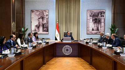 رئيس الوزراء يلتقي أعضاء اللجنة الاستشارية للشئون السياسية
