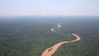 اتفاقيات دولية لحماية غابات حوض الكونغو المطيرة