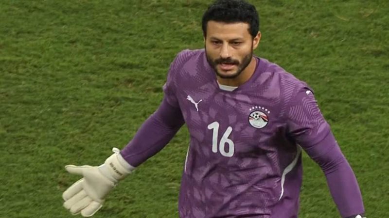 محمد الشناوي