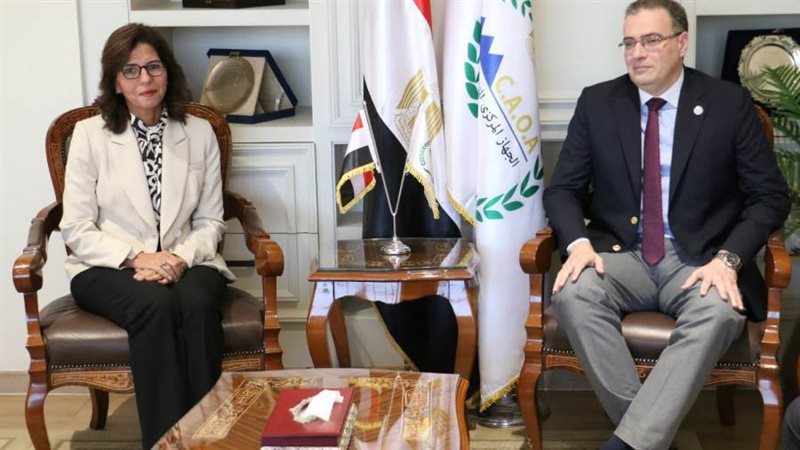 رئيس التنظيم والإدارة