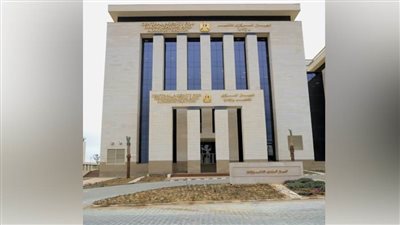 رئيس الجهاز المركزي للتنظيم والإدارة يستقبل المدير التنفيذي للمركز القومي لإدارة المجال الجوي