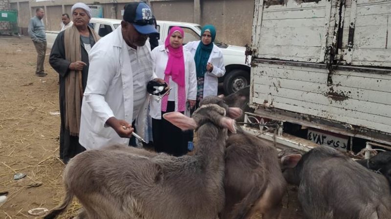 حملات تحصين الماشية