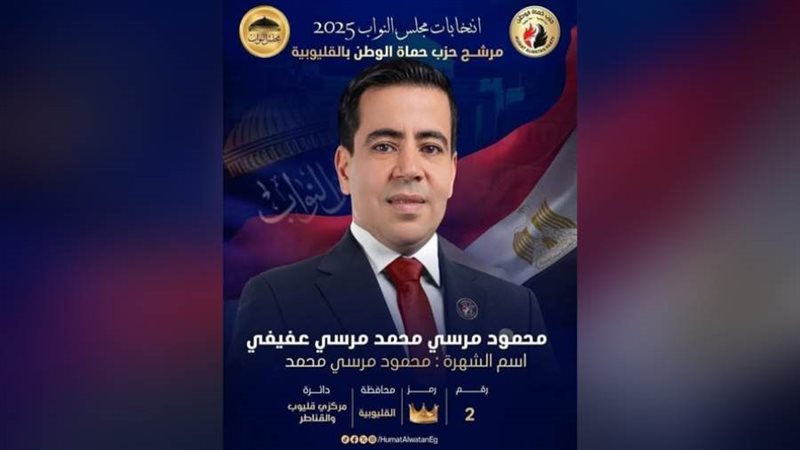 المهندس محمود مرسي