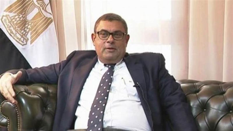 السفير أبوبكر حفنى