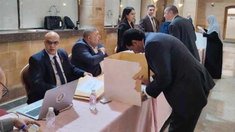 مصريون يدلون بأصواتهم