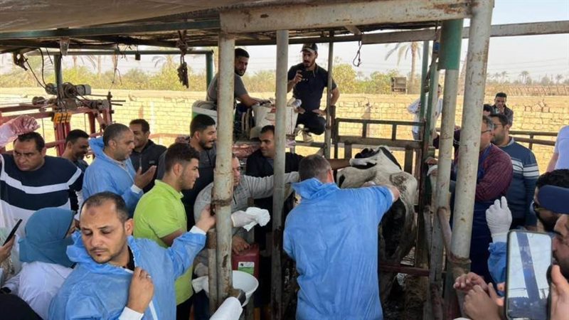 خلال تدريب البيطريين