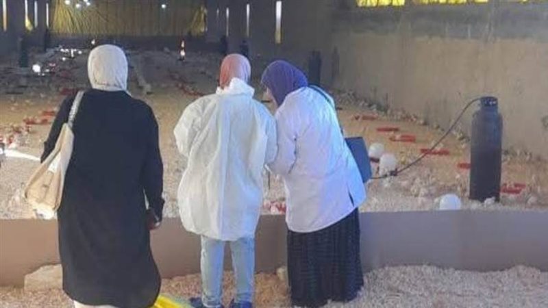 حملة الطبي البيطري