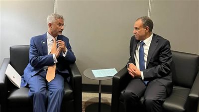 وزيرا خارجية مصر والهند يناقشان تعزيز التعاون المالي والاقتصادي