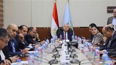 محافظ القاهرة يؤكد سير انتخابات 