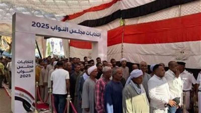 إقبال كبير من الناخبين على دائرتي شبرا وروض الفرج والساحل