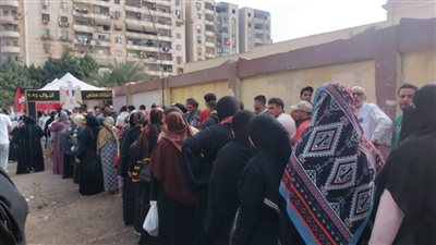 السيدات يتصدرن المشهد الانتخابي بلجان حلوان